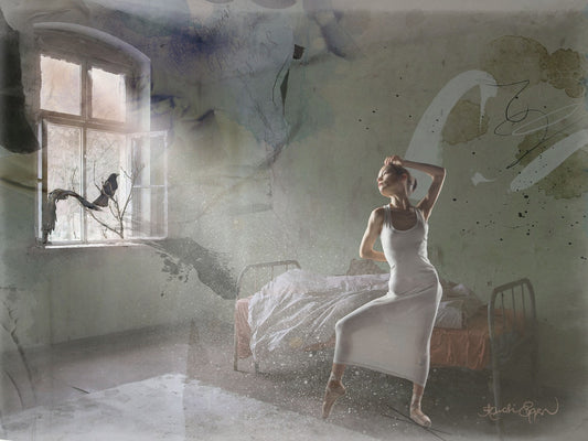 The Beauty and the Birds